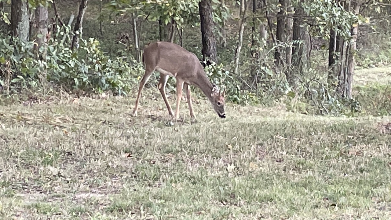 Photo of Outdoor in Texico
