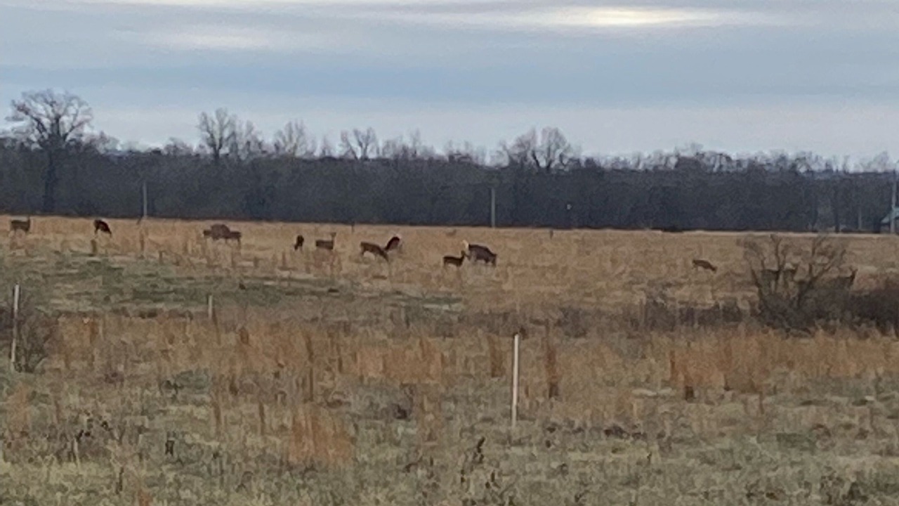 Photo of Outdoor in Texico