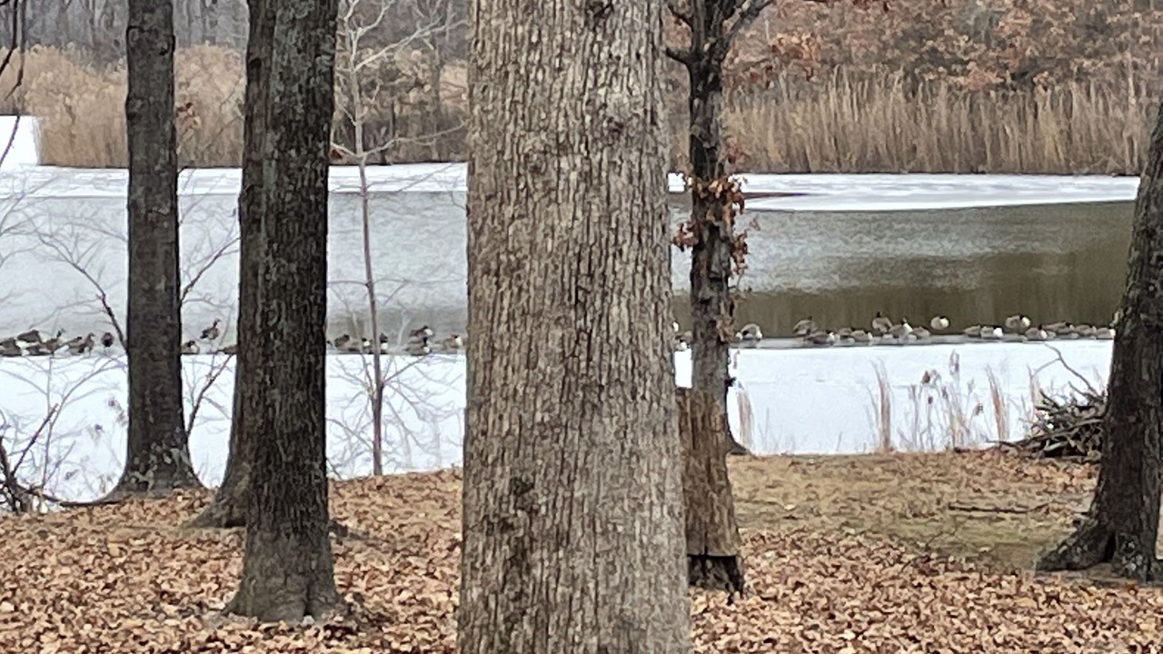 Photo of Outdoor in Texico