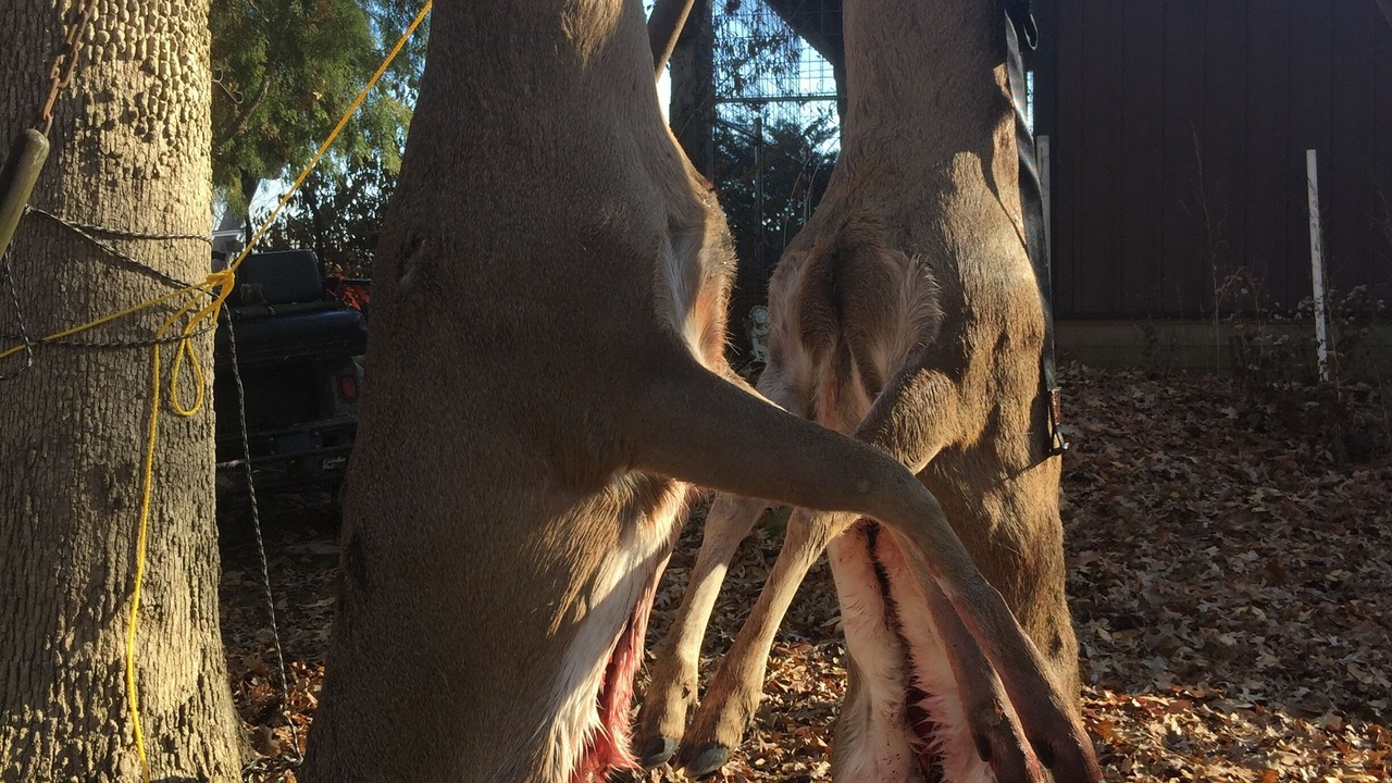 Photo of Others in Texico