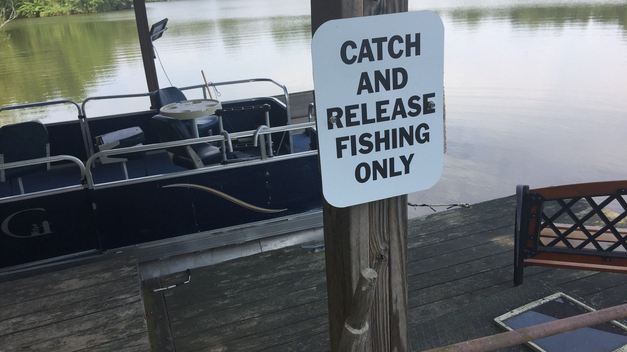 Photo of Others in Texico