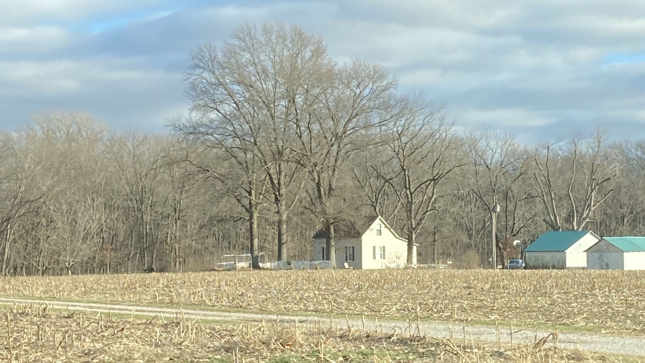 Photo of Others in St. Clair County