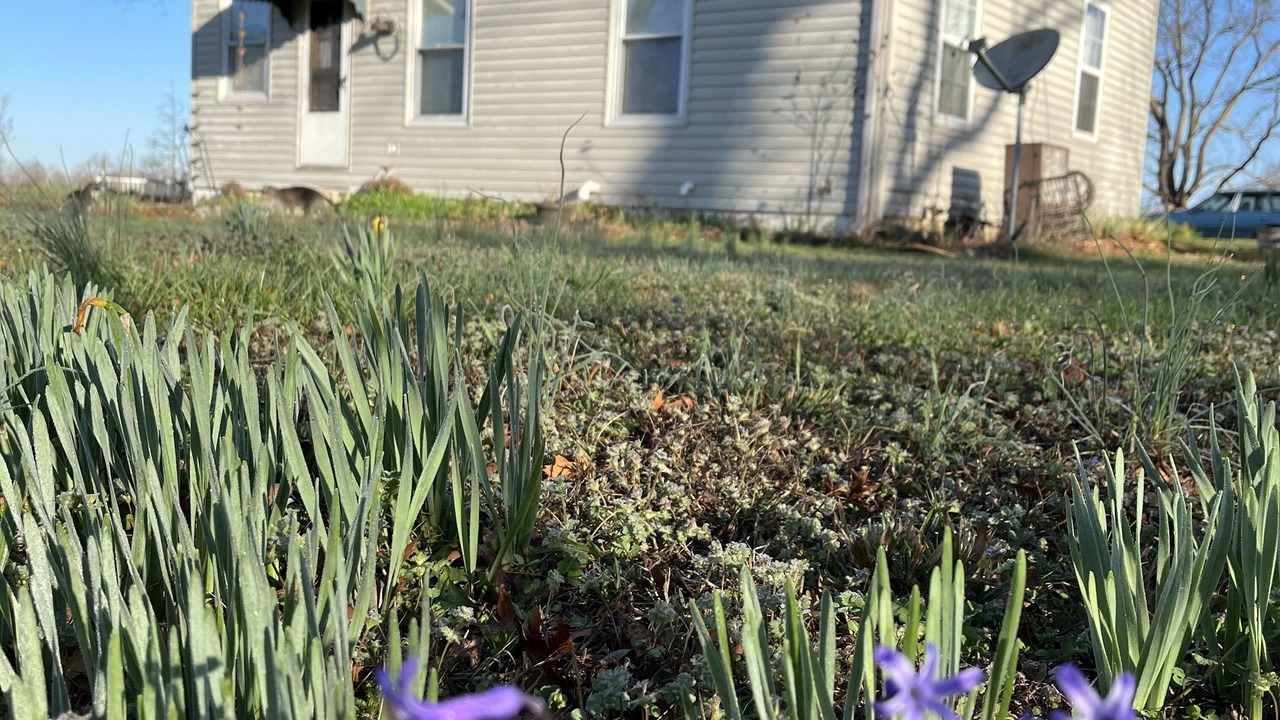 Photo of Outdoor in St. Clair County