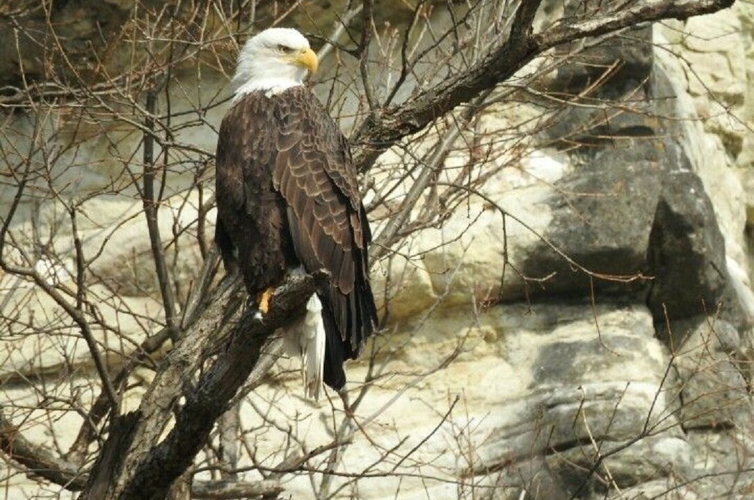 Photo of Others in Grafton