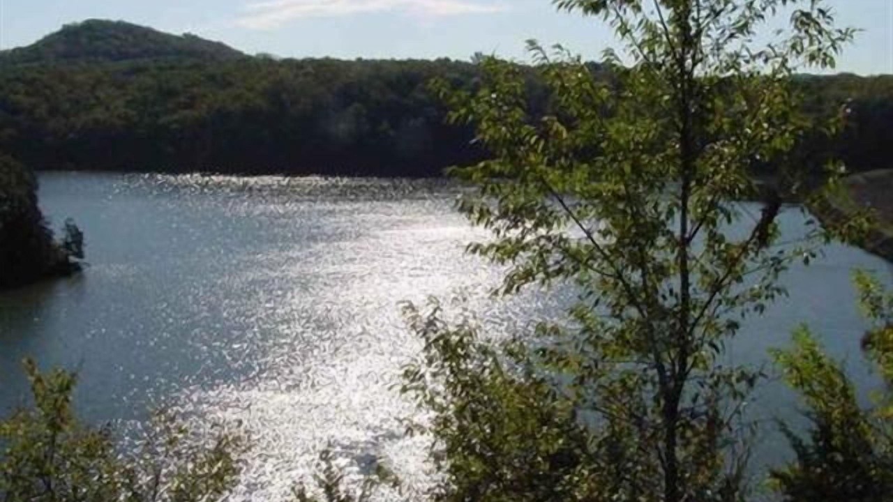 Photo of Others in The Galena Territory