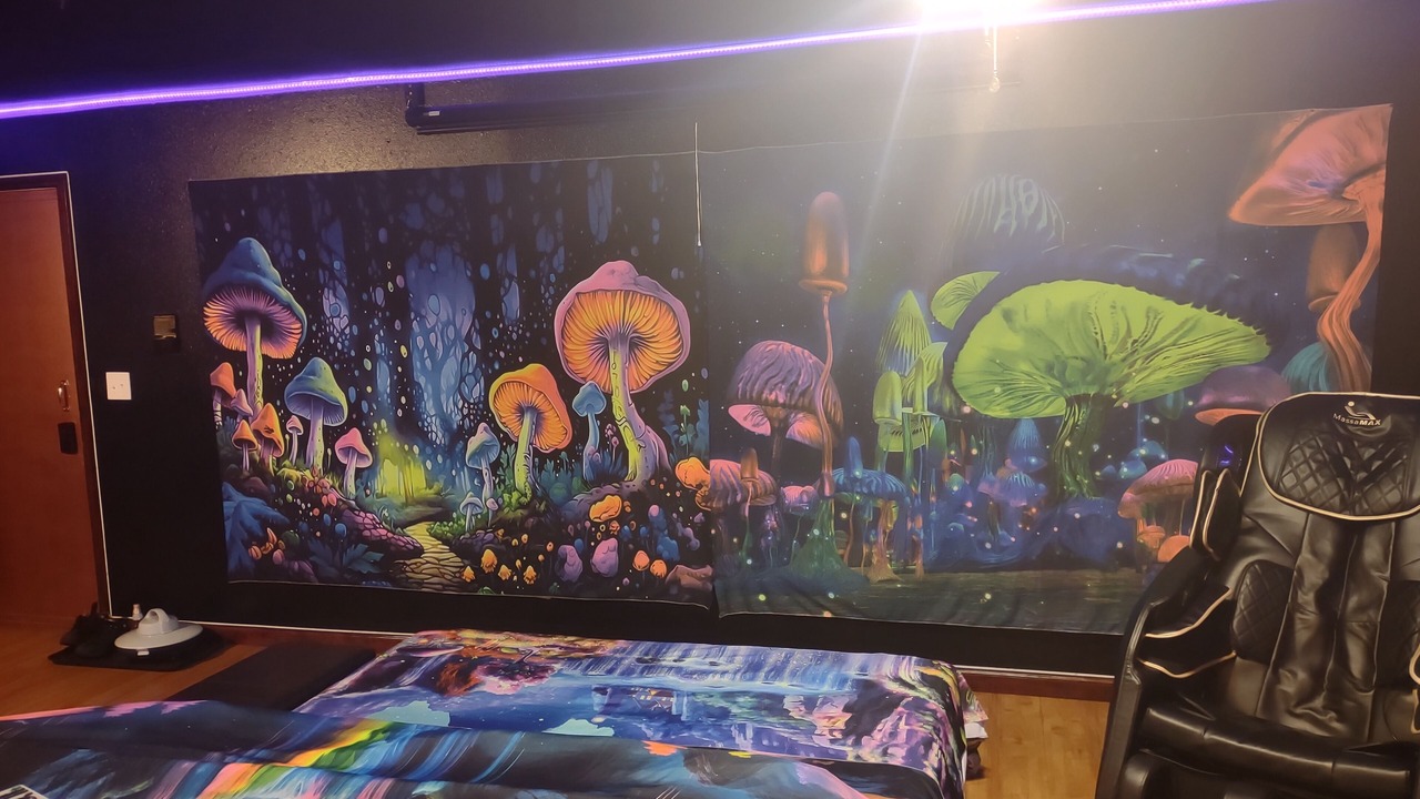 Photo of Bedroom in Springfield
