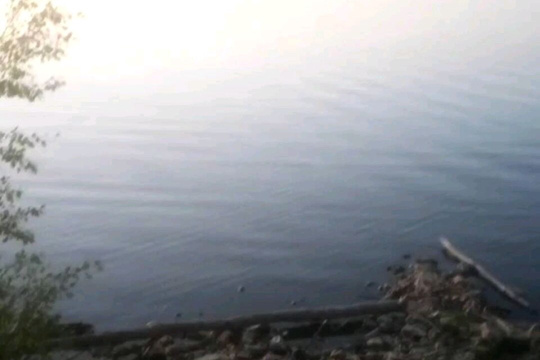 Photo of Others in Long Lake