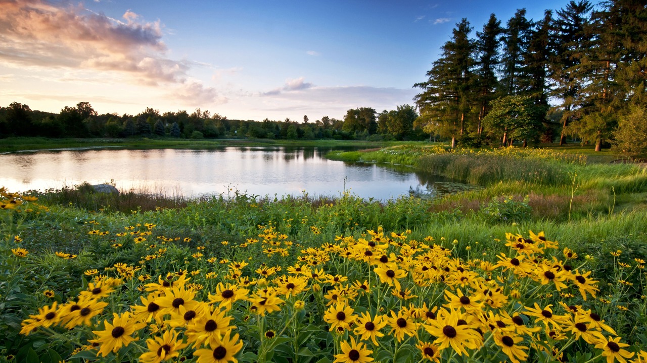 Photo of Outdoor in Naperville