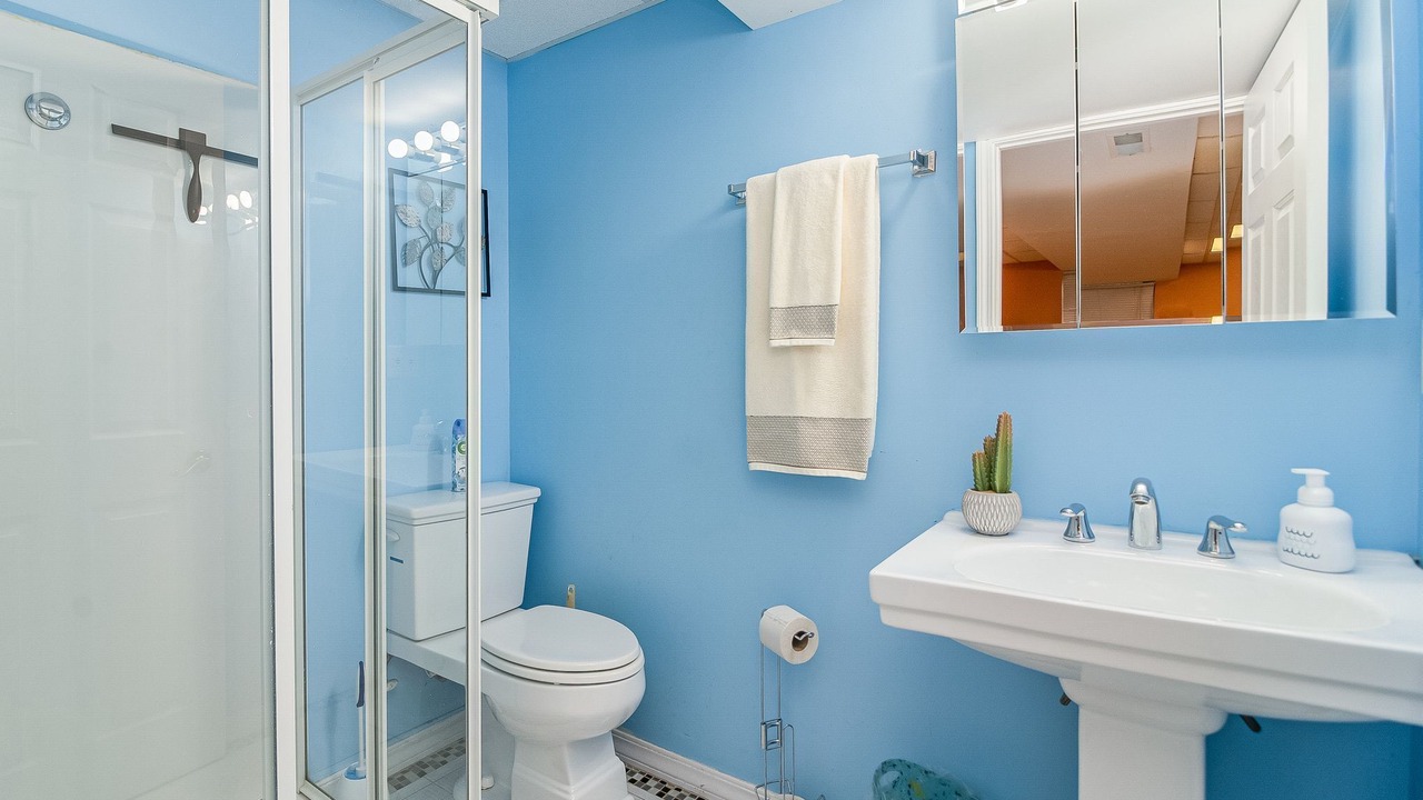 Photo of Bathroom in Woodridge