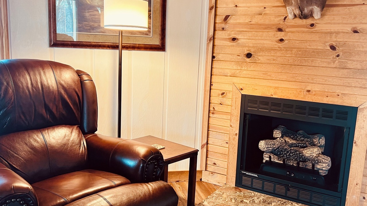 Photo of Livingroom in Goreville