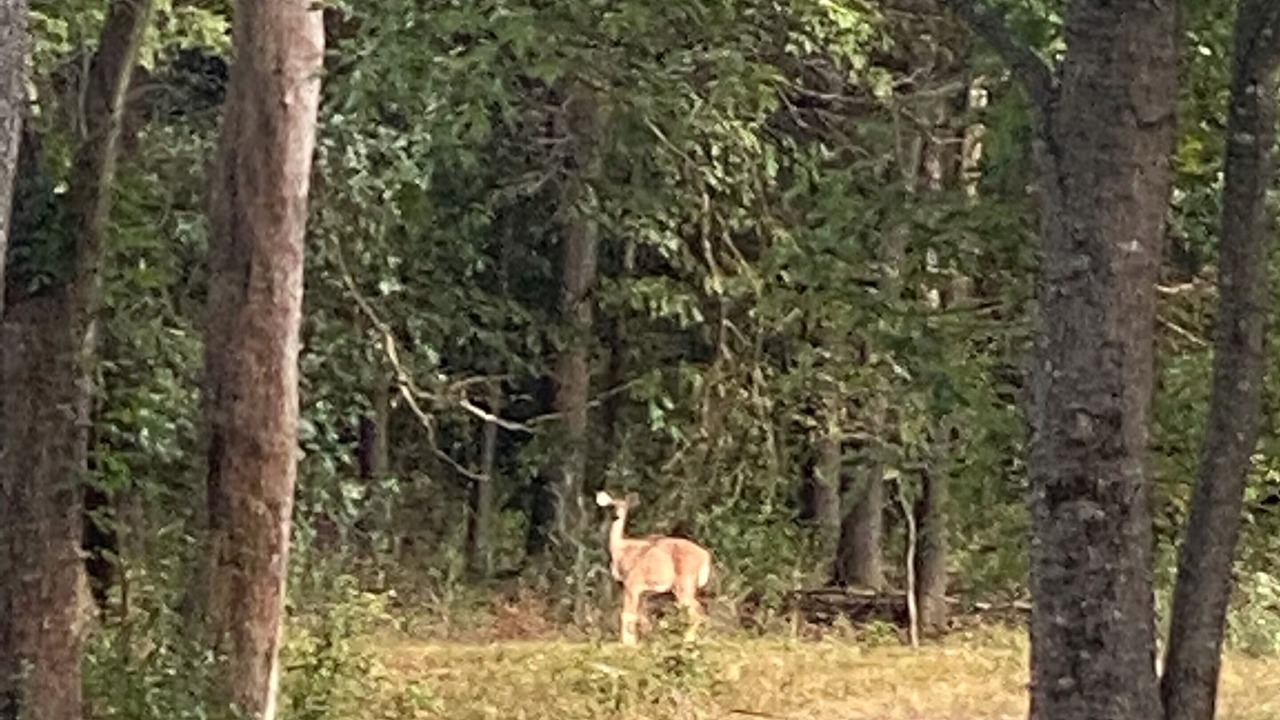 Photo of Others in Benton
