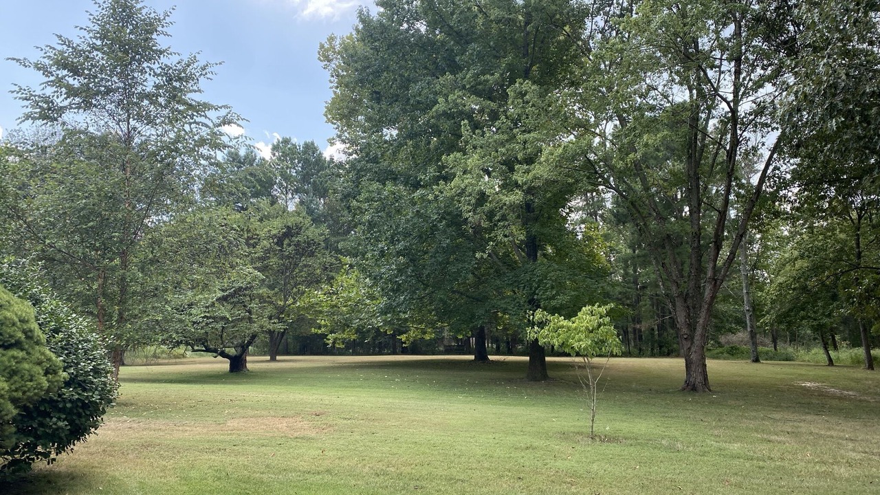 Photo of Others in Benton