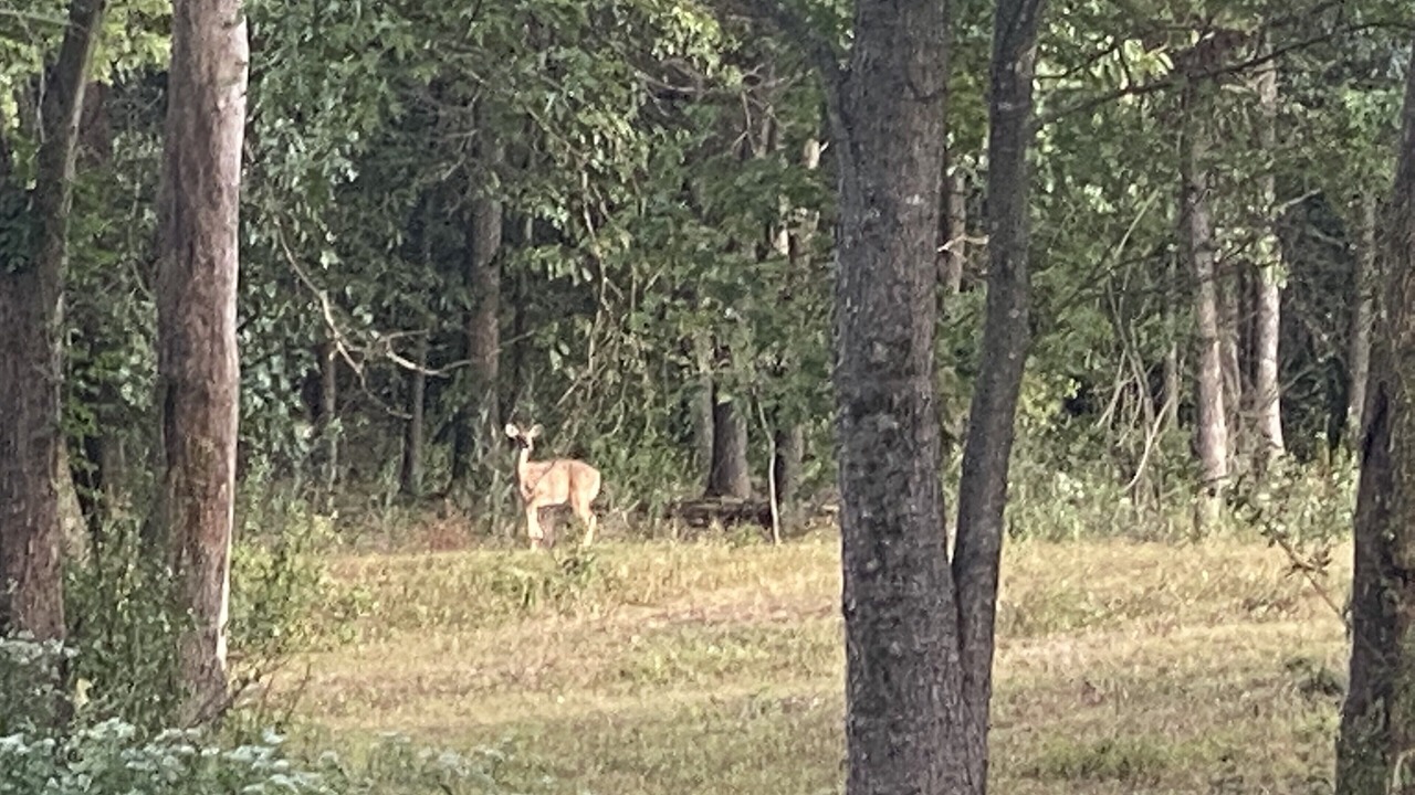 Photo of Others in Benton