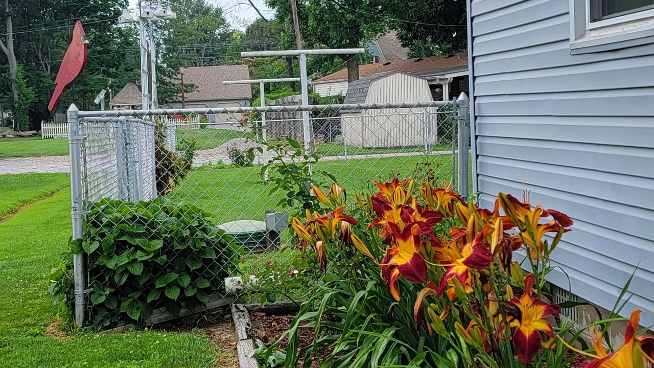 Photo of Outdoor in Annapolis