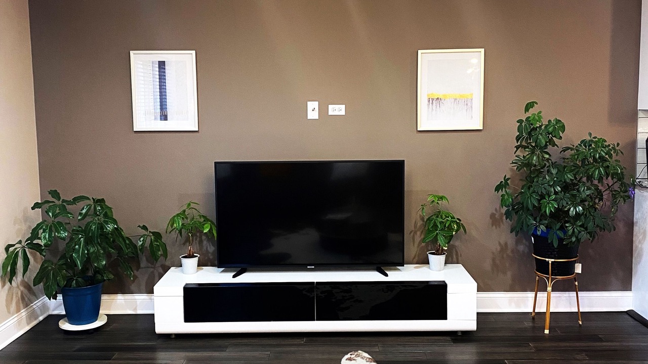 Photo of Livingroom in Burbank