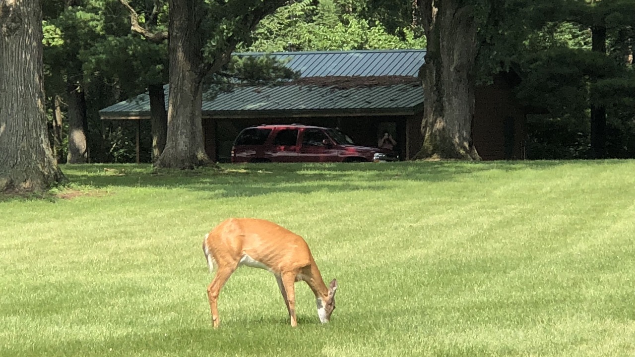 Photo of Outdoor in Triumph