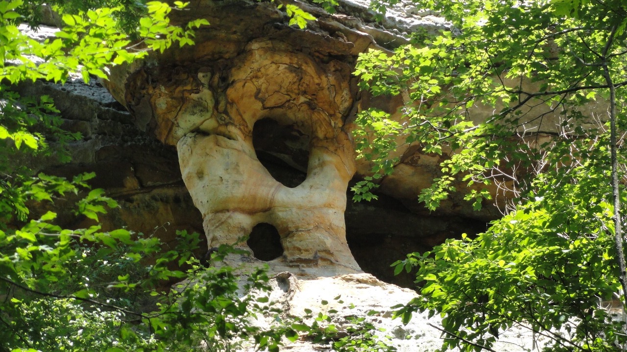 Photo of Outdoor in Hardin County