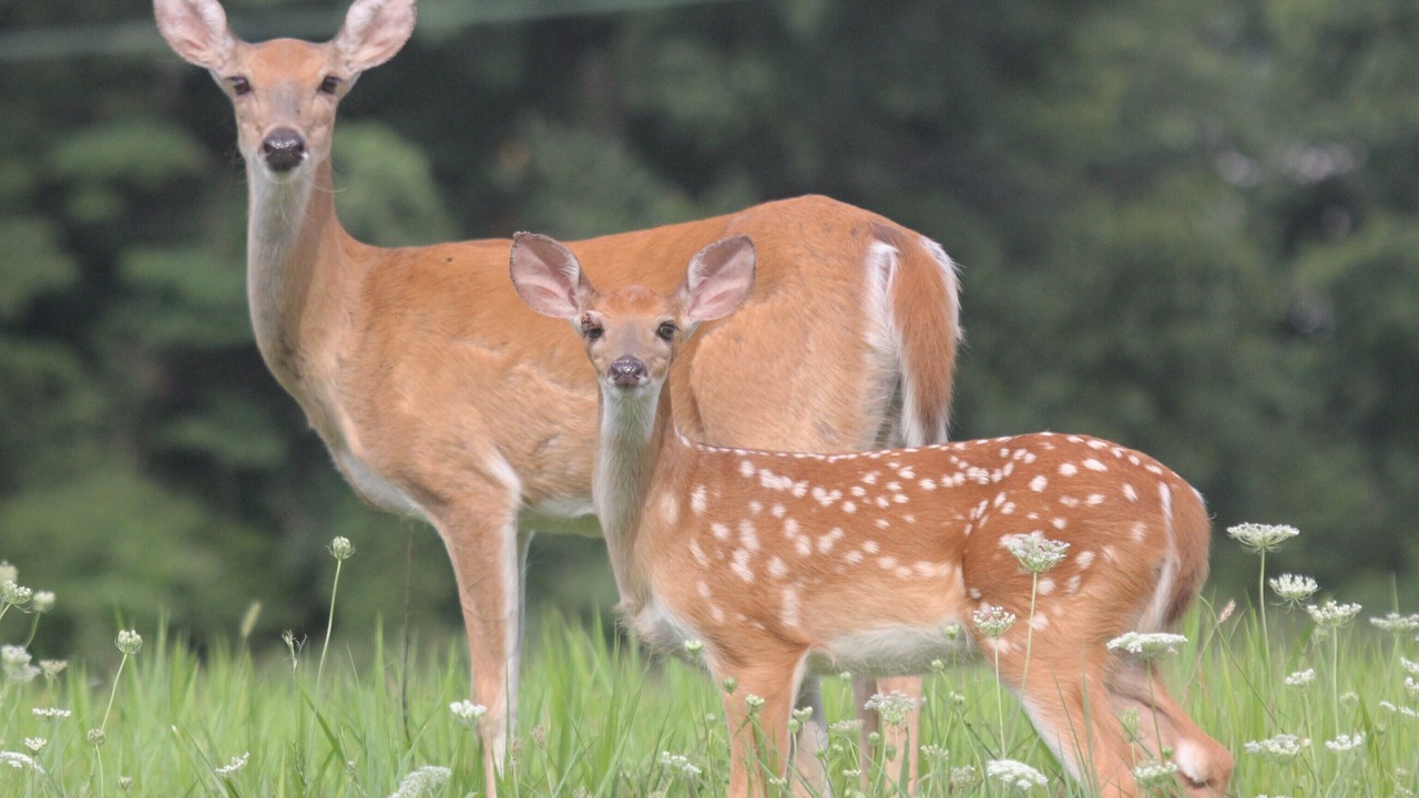Photo of Others in Hardin County