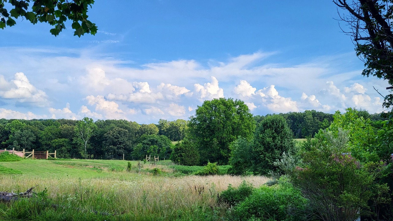 Photo of Others in Hardin County