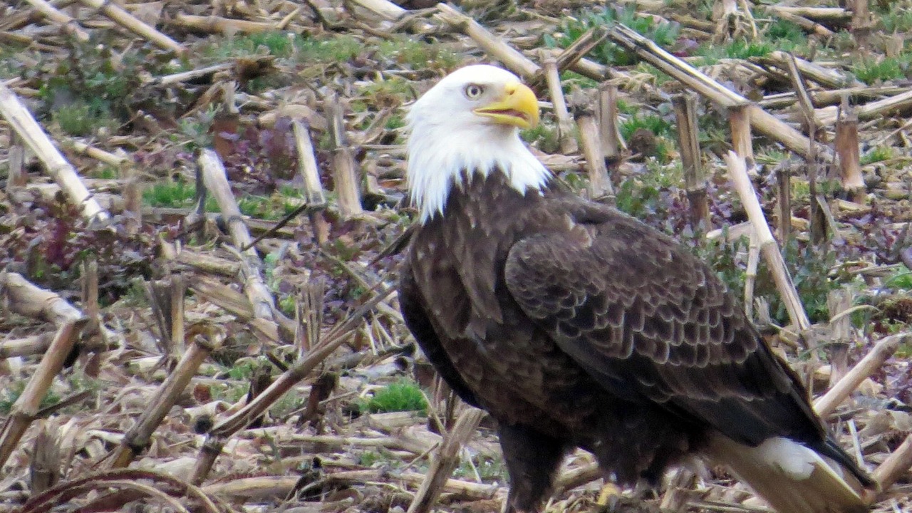 Photo of Outdoor in Hardin County