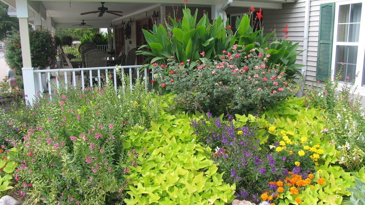 Photo of Outdoor in Whittington