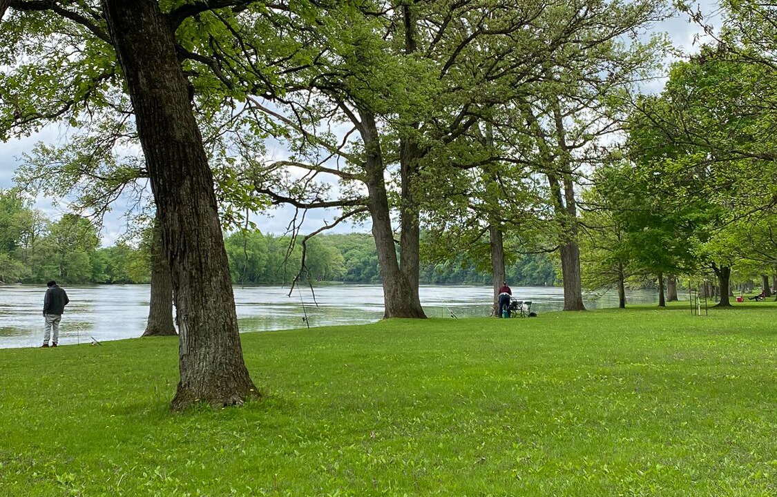 Photo of Others in Galt