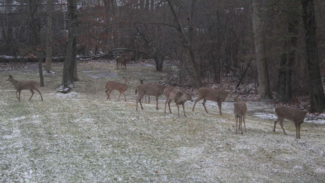 Photo of Outdoor in Riverwoods