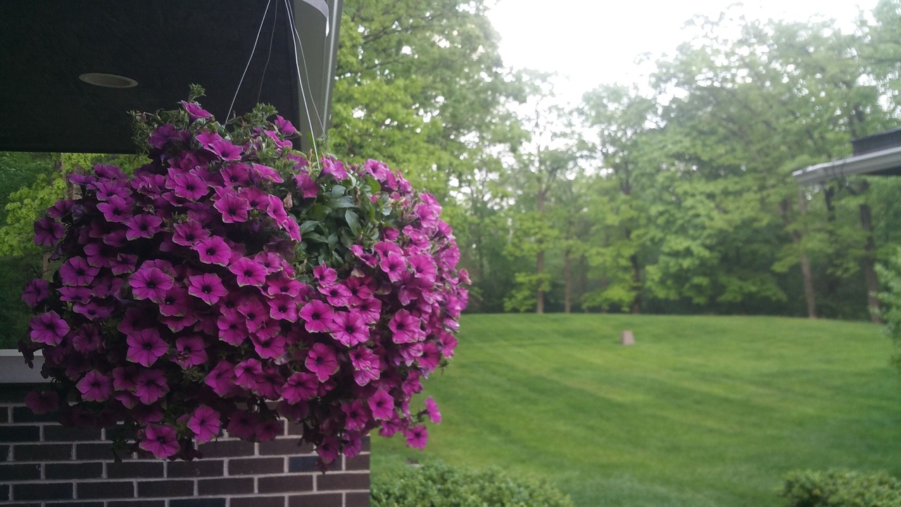 Photo of Outdoor in Riverwoods
