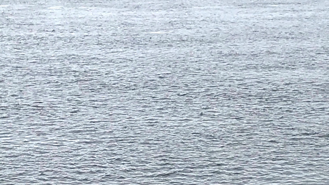 Photo of Others in Port Byron