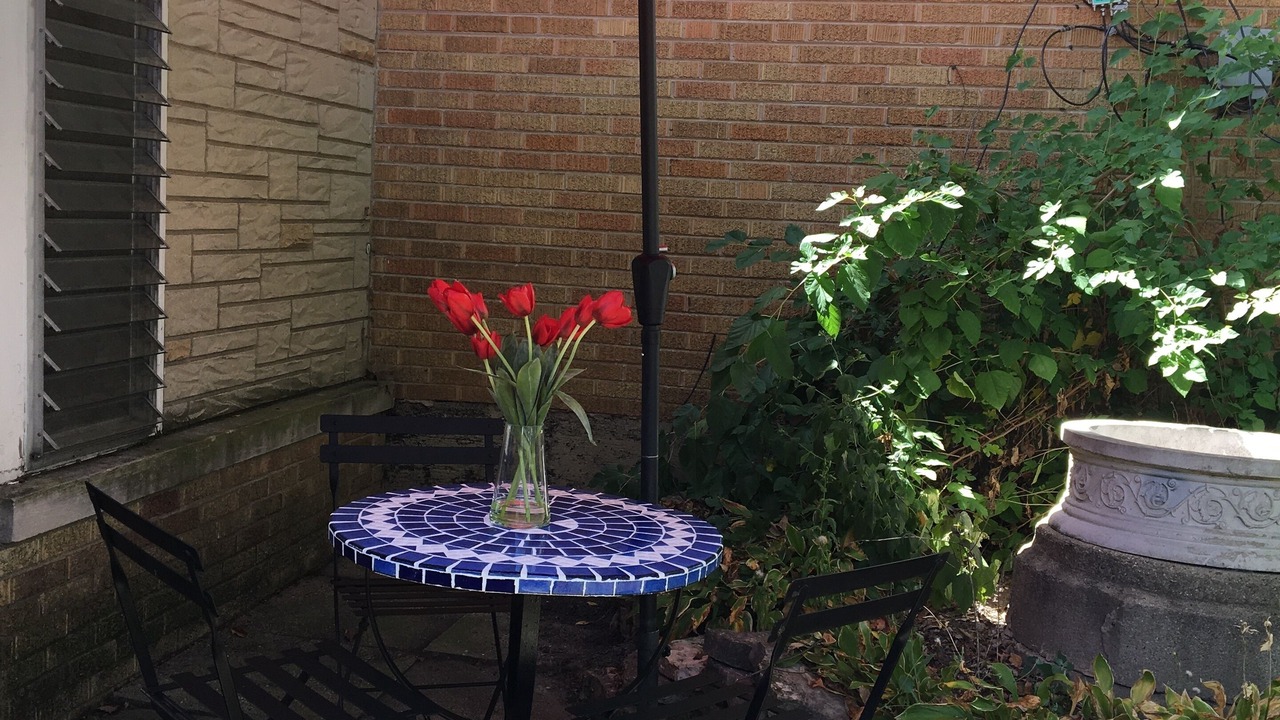 Photo of Outdoor in Western Springs