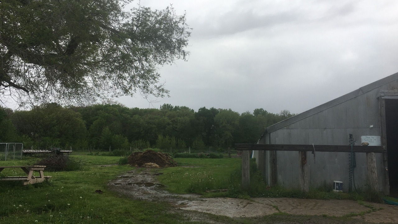 Photo of Outdoor in Ottawa