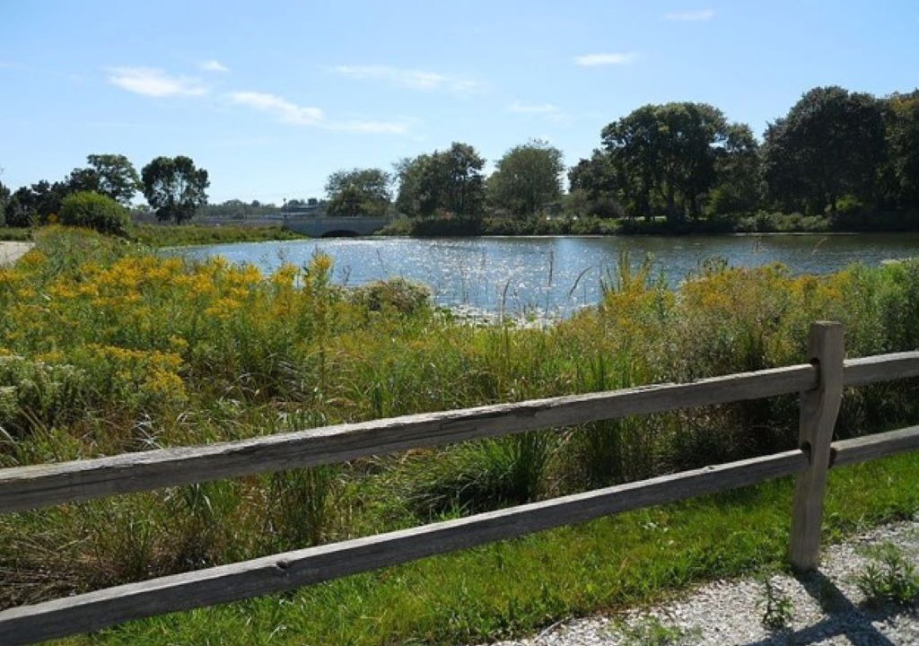 Photo of Others in Libertyville