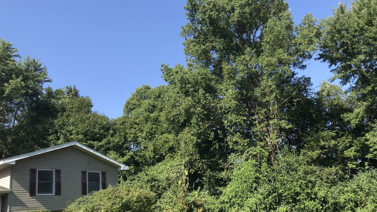 Photo of Outdoor in Carbondale
