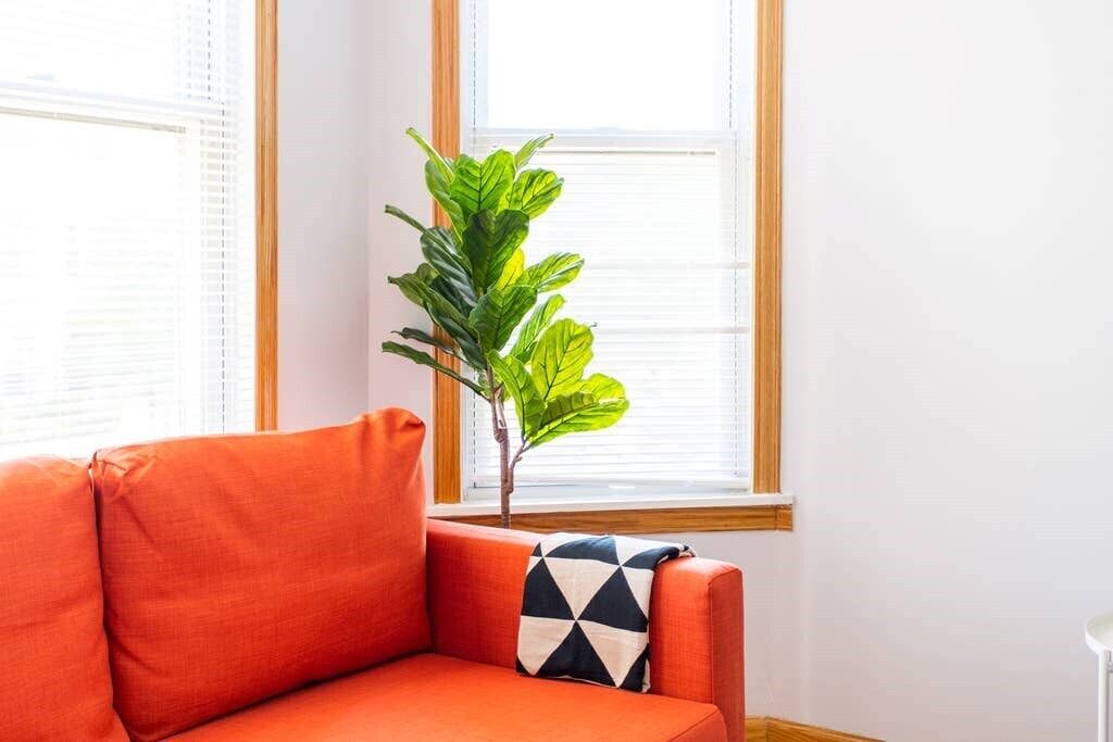 Photo of Livingroom in Logan Square