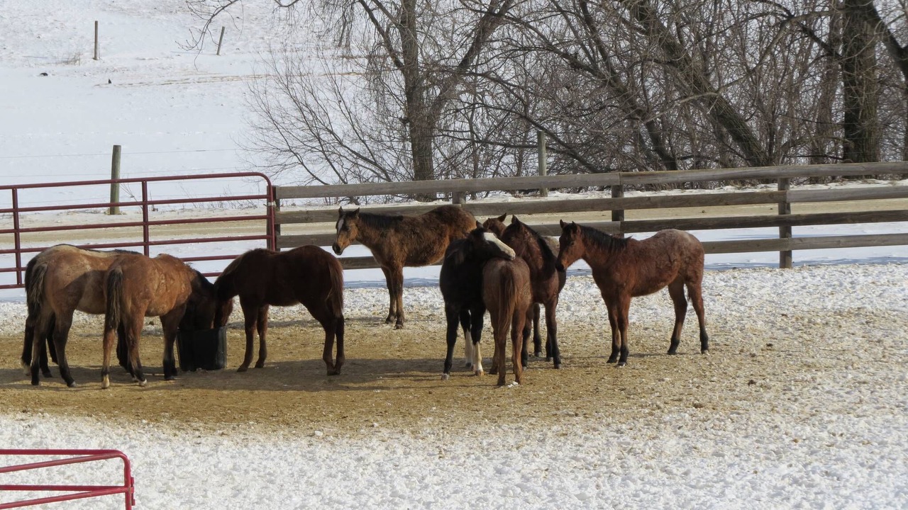 Photo of Others in The Galena Territory
