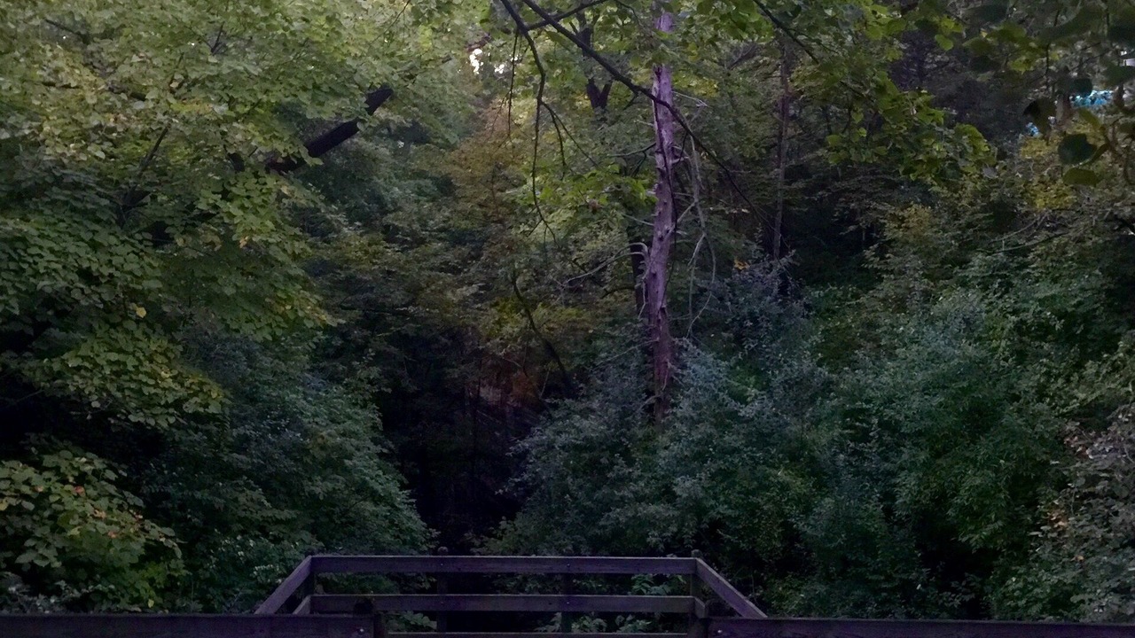 Photo of Others in Oglesby