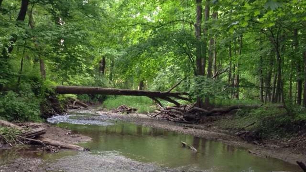 Photo of Outdoor in Oglesby