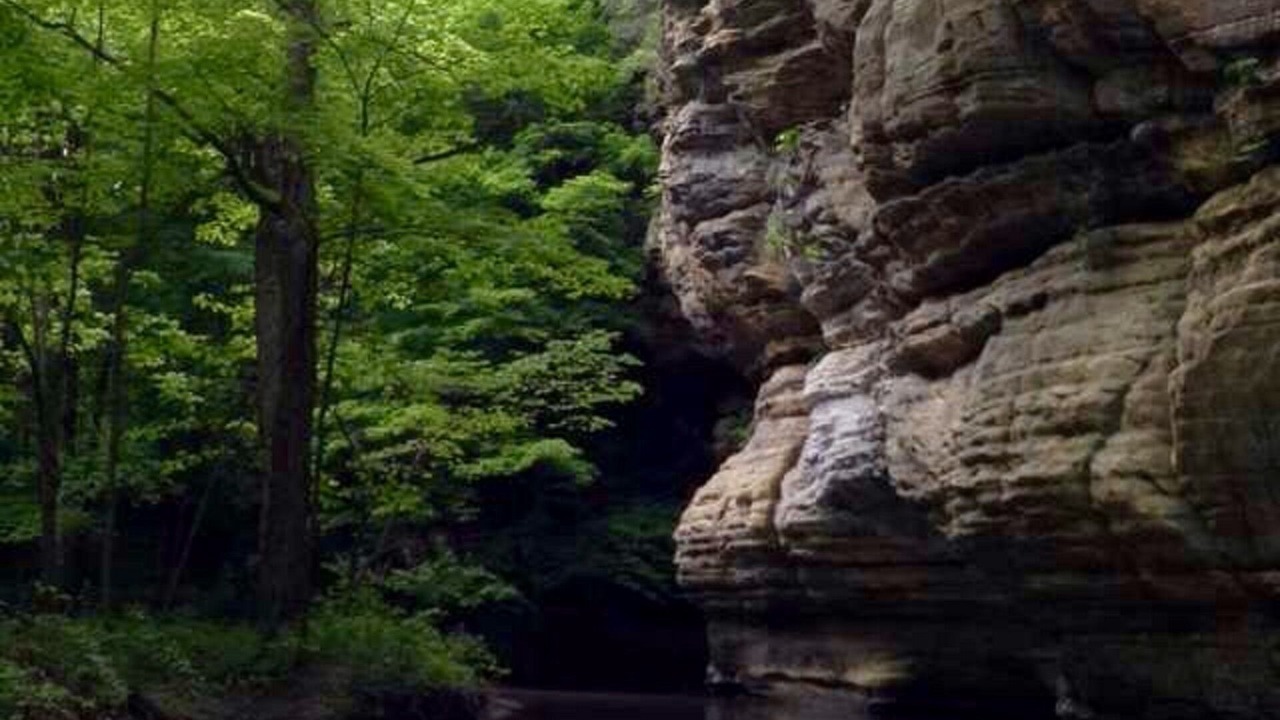 Photo of Outdoor in Oglesby