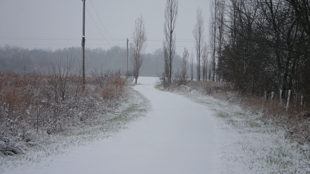 Photo of Others in Murrayville