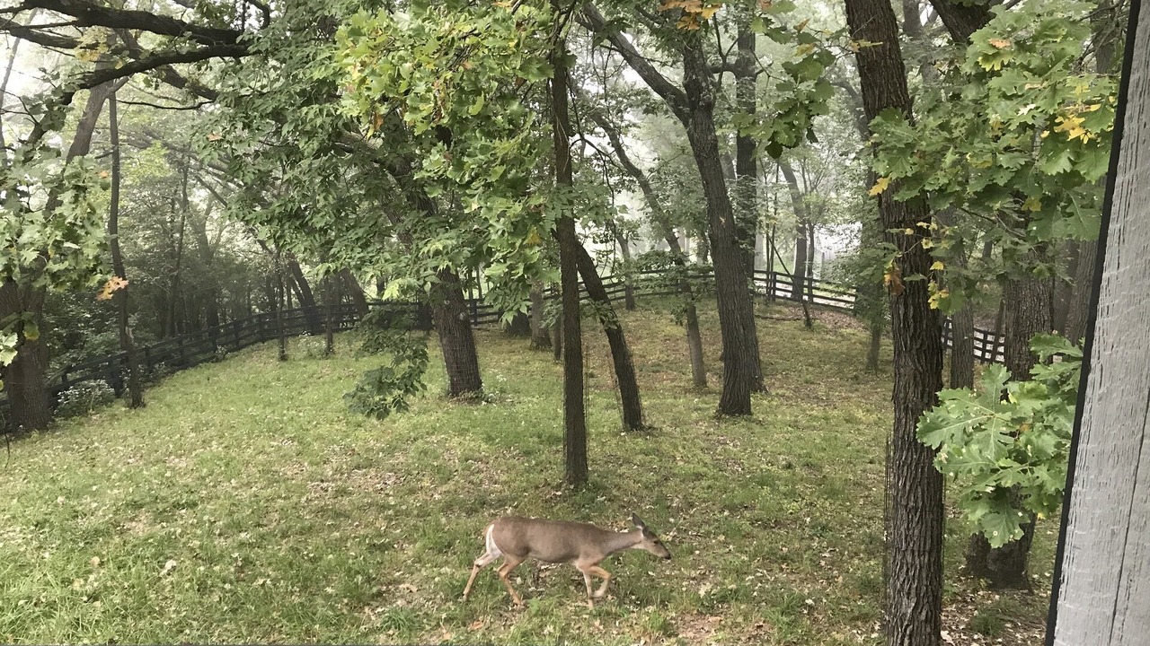 Photo of Outdoor in Barrington Hills