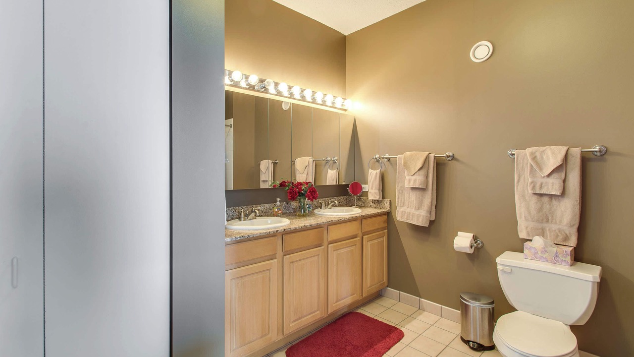 Photo of Bathroom in Downtown Chicago