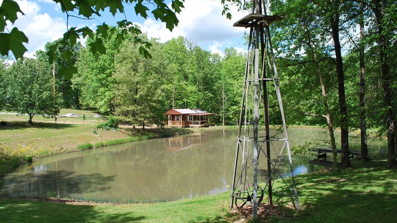 Photo of Others in Buncombe