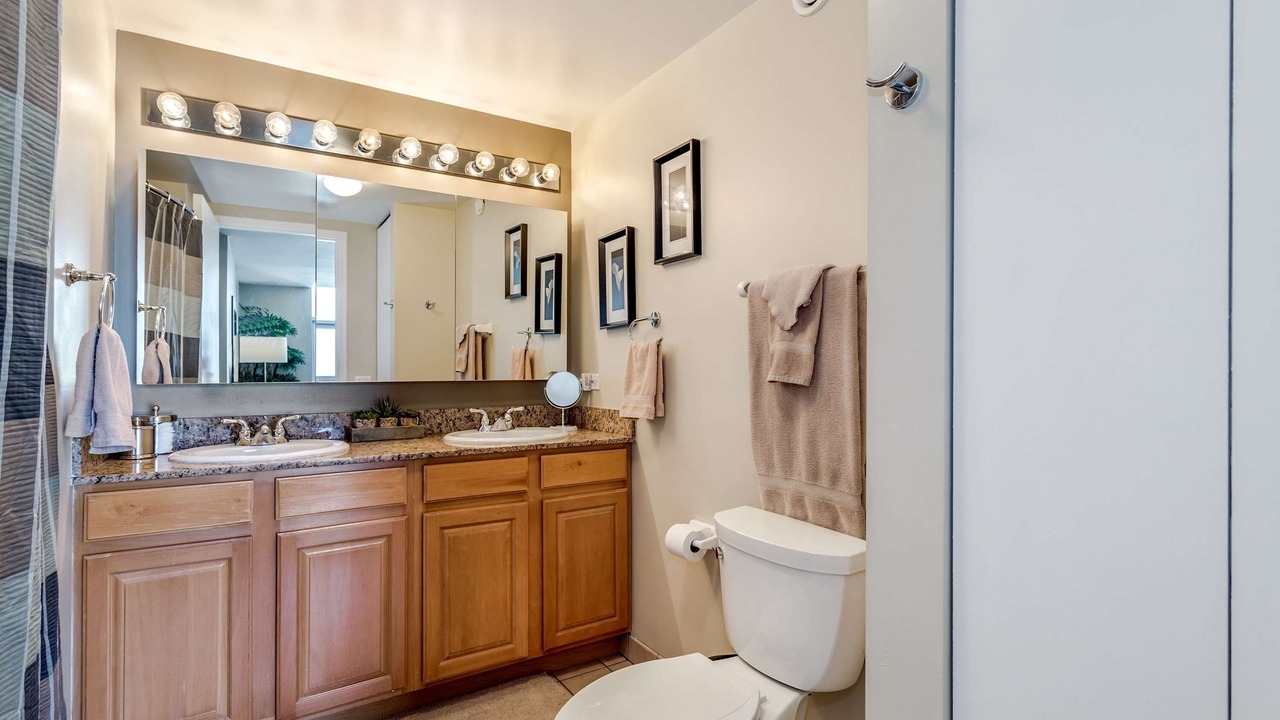 Photo of Bathroom in Downtown Chicago