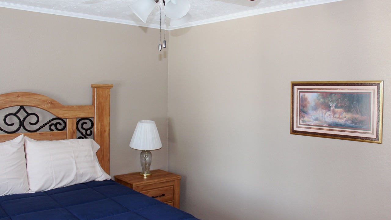 Photo of Bedroom in Makanda