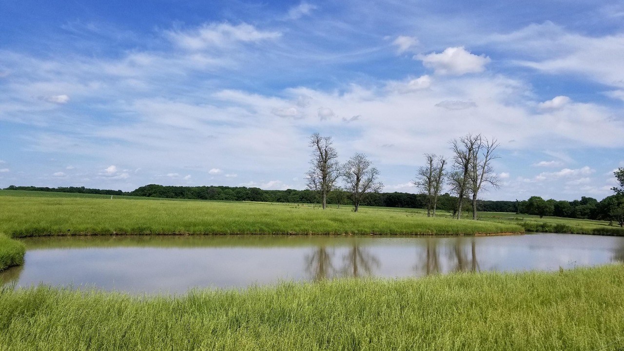 Photo of Outdoor in Lakewood