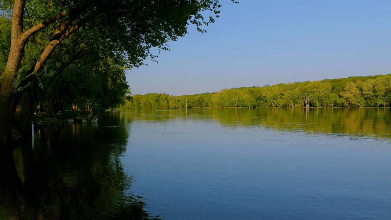 Photo of Others in Rockford