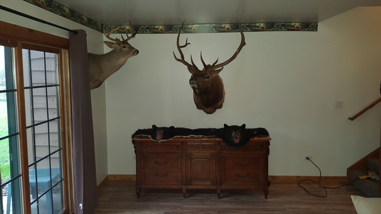 Photo of Others in Oglesby
