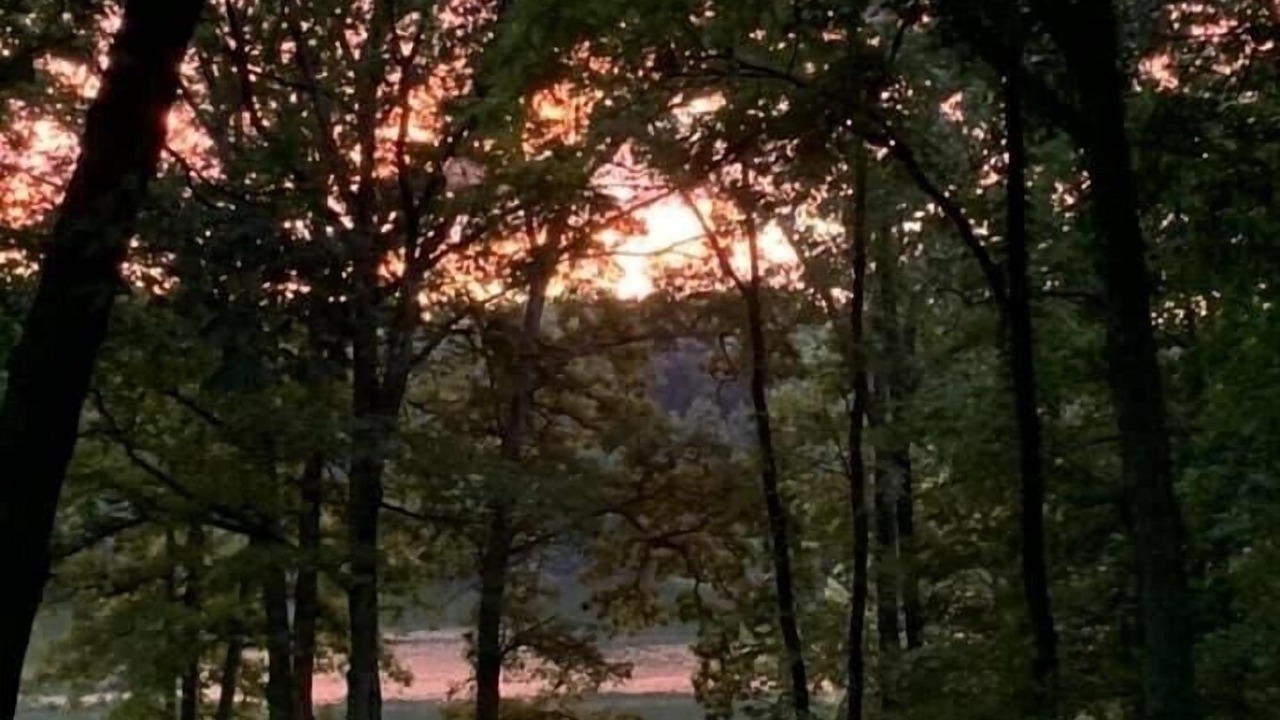 Photo of Outdoor in Marshall