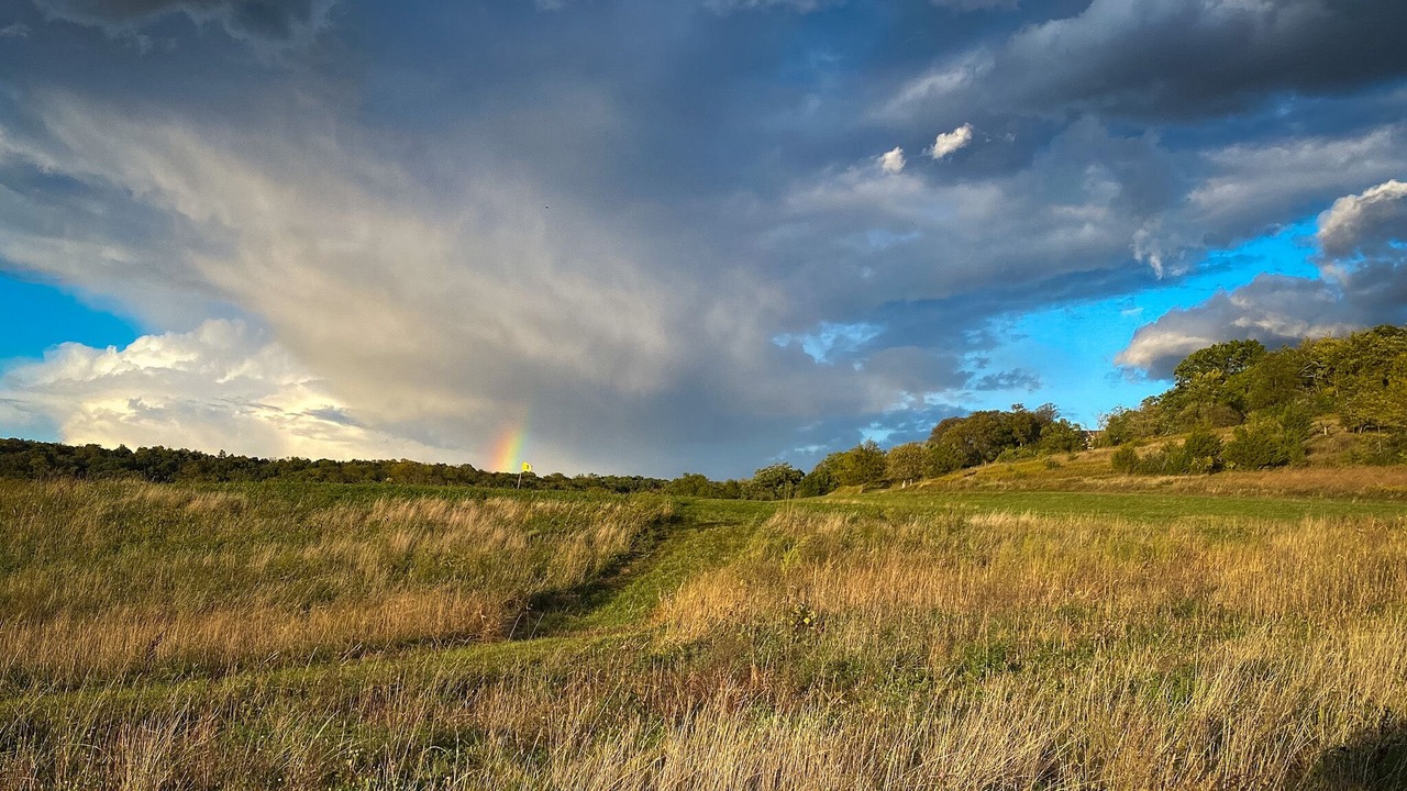 Photo of Others in The Galena Territory