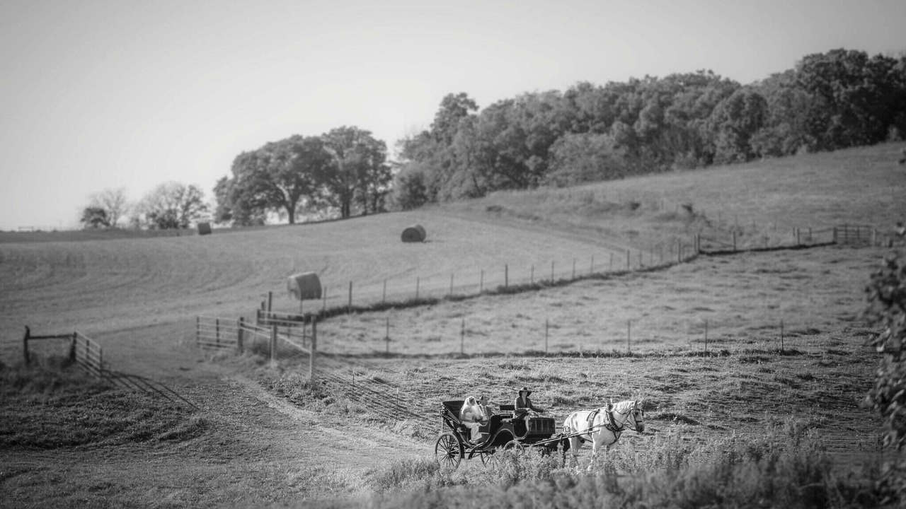 Photo of Others in Elizabeth